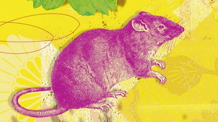 1948 – рік якої тварини і що характерно для представників цього року?