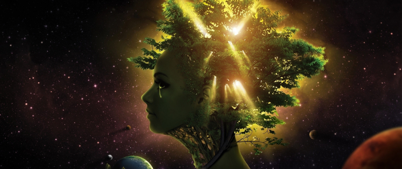 1955 – рік якої тварини і що означає?