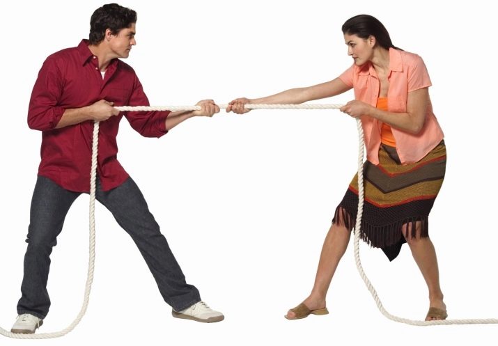 1956 – рік якої тварини і що вона означає?