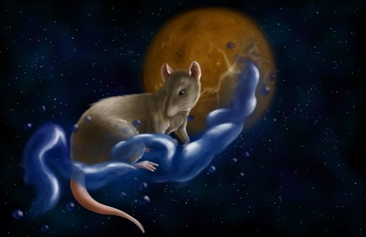 1956 – рік якої тварини і що вона означає?