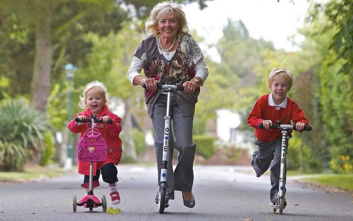 1959 – рік якої тварини і які її відмінні риси?