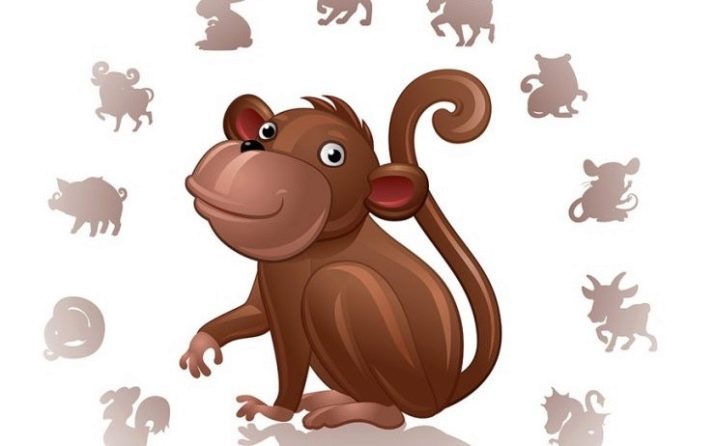 1971 – рік якої тварини і що вона означає?