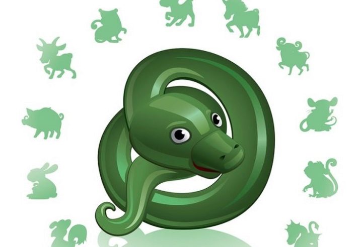 1971 – рік якої тварини і що вона означає?