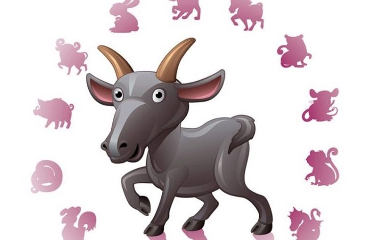 1971 – рік якої тварини і що вона означає?