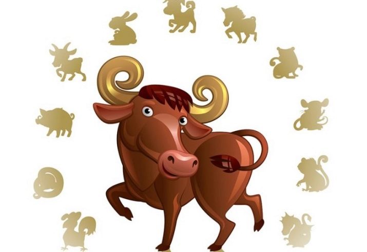 1971 – рік якої тварини і що вона означає?