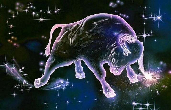 1972 – рік якої тварини і що вона означає?