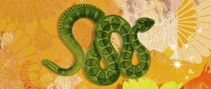 1975 – рік якої тварини і в чому її особливості?