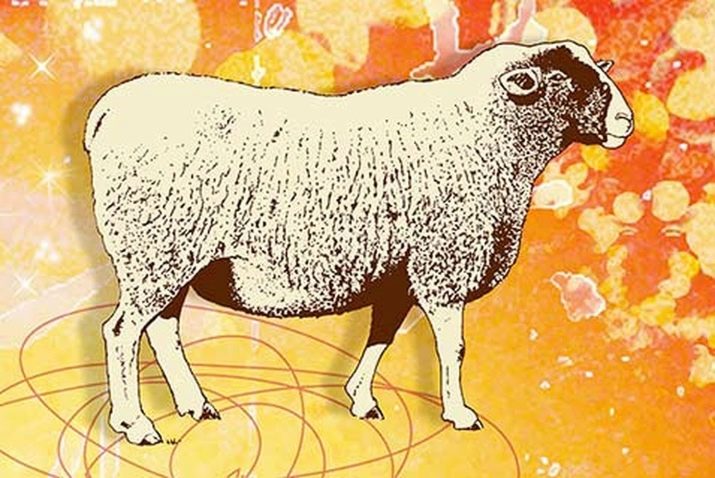 1975 – рік якої тварини і в чому її особливості?