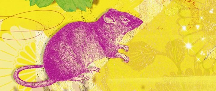 1975 – рік якої тварини і в чому її особливості?