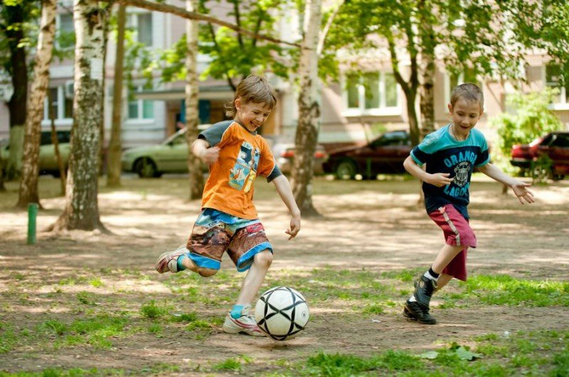 1979 – рік якої тварини і що для неї характерно?