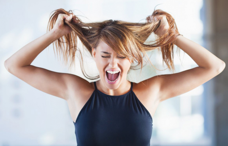 1979 – рік якої тварини і що для неї характерно?