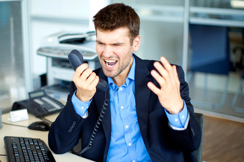 1979 – рік якої тварини і що для неї характерно?