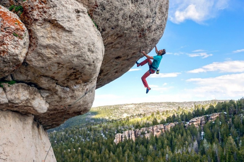 1983 – рік якої тварини і що вона означає?