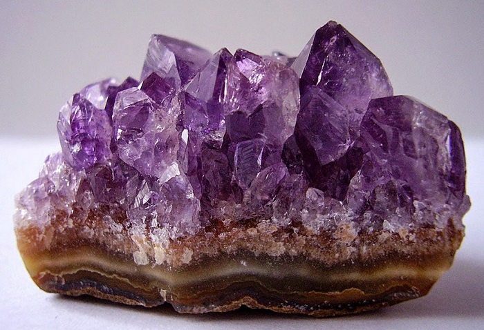 1988 – рік якої тварини та які її особливості?