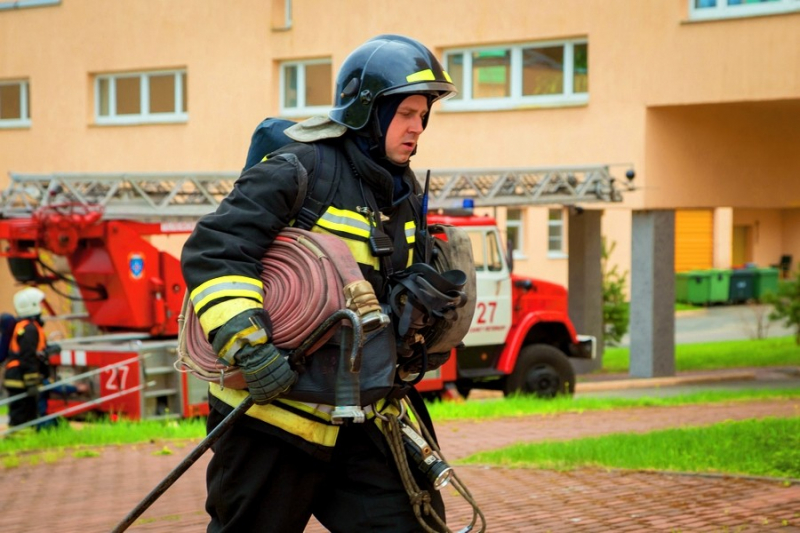 1989 – рік якої тварини і що для неї характерно?