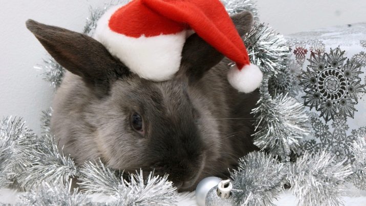 1992 – рік якої тварини і що вона означає?