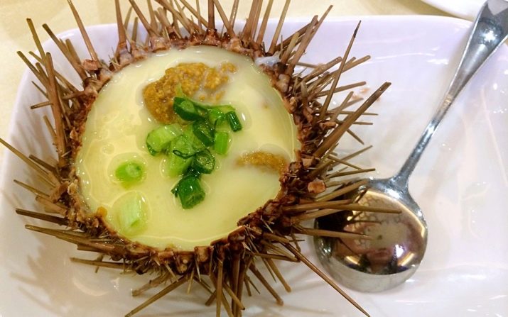 1994 – рік якої тварини і в чому її особливості?