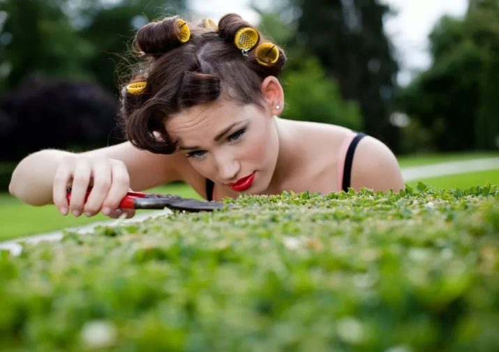 1996 – рік якої тварини і в чому її особливості?