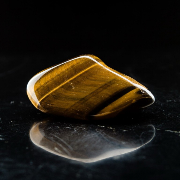 1999 – рік якої тварини і що вона означає?