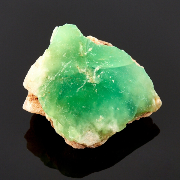 1999 – рік якої тварини і що вона означає?