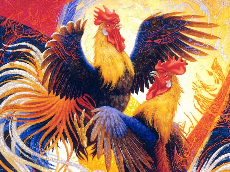 2001 – рік якої тварини і що вона означає?