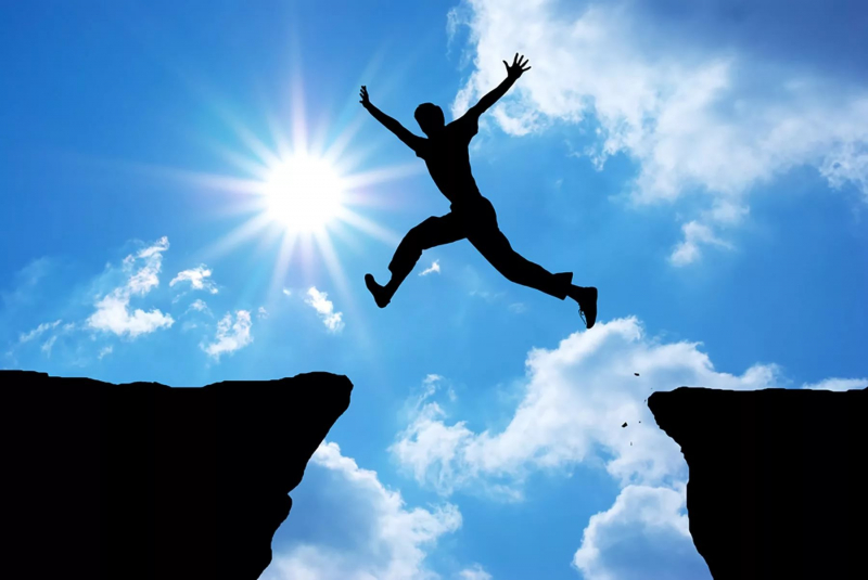 2002 – рік якої тварини і що характерно для її представників?