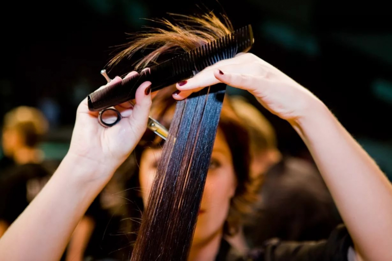 2002 – рік якої тварини і що характерно для її представників?