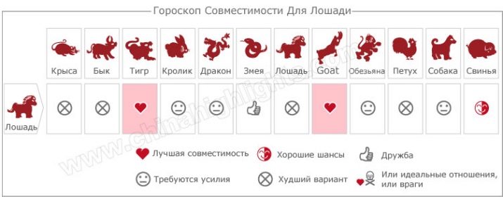 2002 – рік якої тварини і що характерно для її представників?