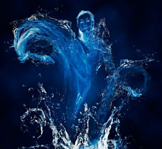 2003 – рік якої тварини і що вона означає?