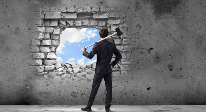 2003 – рік якої тварини і що вона означає?