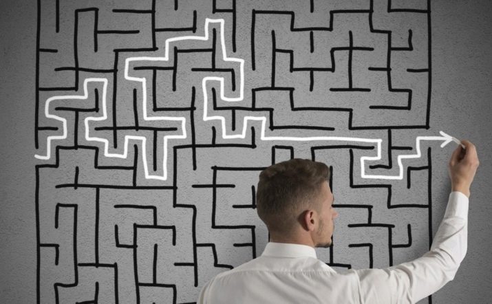 2005 – рік якої тварини і чим вона характеризується?