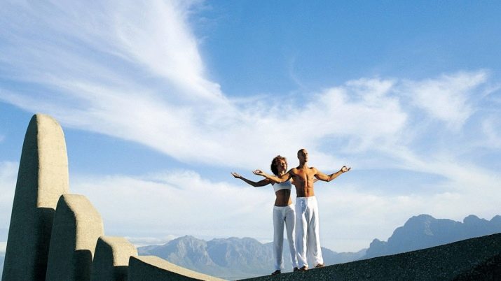 2006 – рік якої тварини і чим вона характеризується?