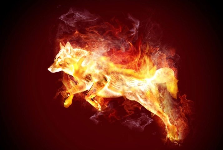 2006 – рік якої тварини і чим вона характеризується?