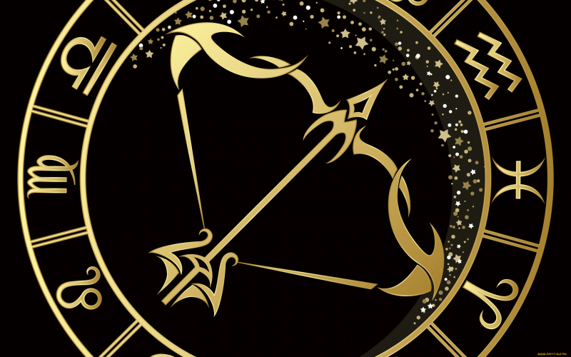 2006 – рік якої тварини і чим вона характеризується?