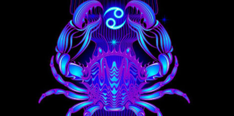 2008 – рік якої тварини і що вона означає?