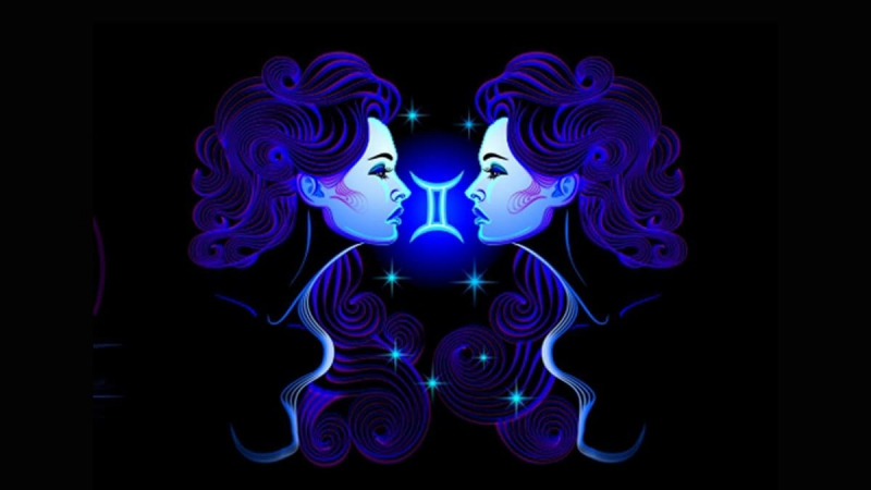 2008 – рік якої тварини і що вона означає?