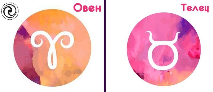 2008 – рік якої тварини і що вона означає?