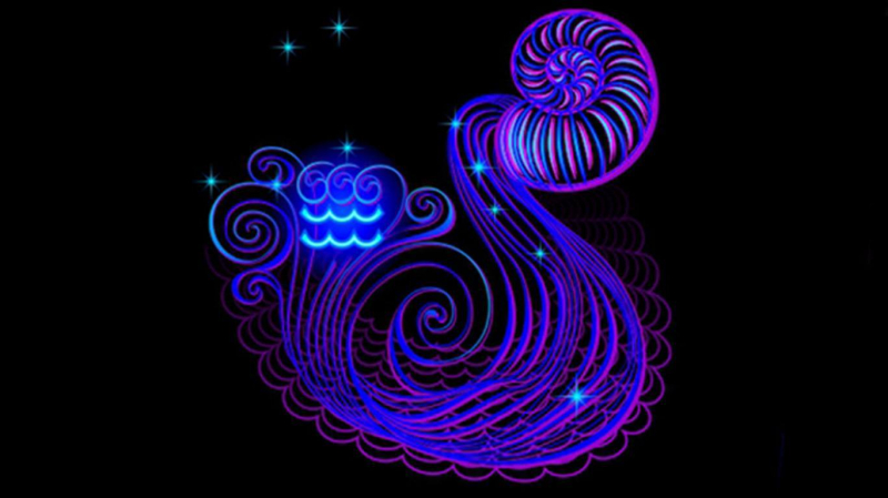 2008 – рік якої тварини і що вона означає?