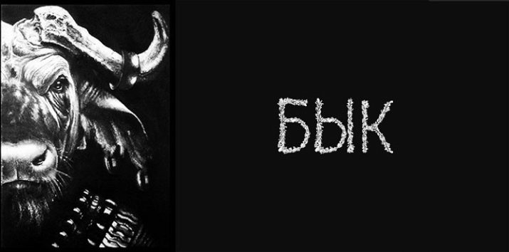 2009 – рік якої тварини і що вона означає?
