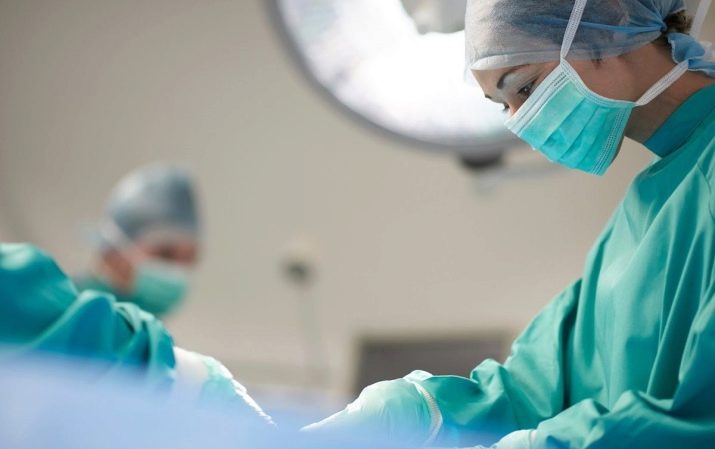 2012 – рік якої тварини і як вона впливає на характер?