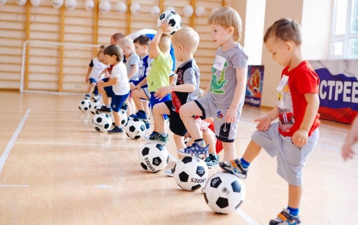 2012 – рік якої тварини і як вона впливає на характер?