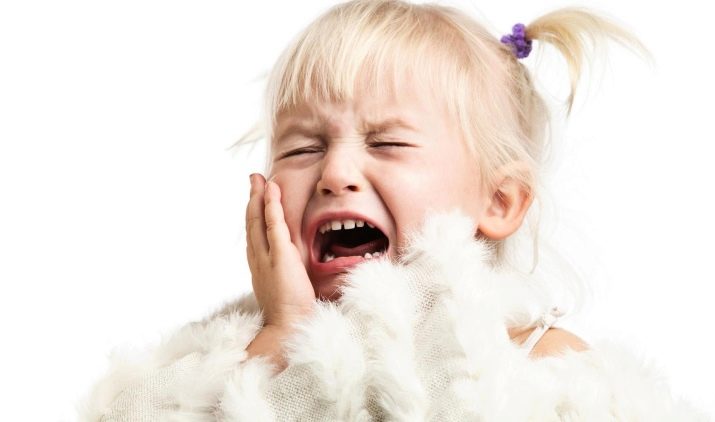 2012 – рік якої тварини і як вона впливає на характер?