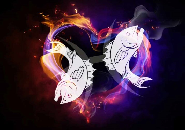 2013 – рік якої тварини і що вона означає?