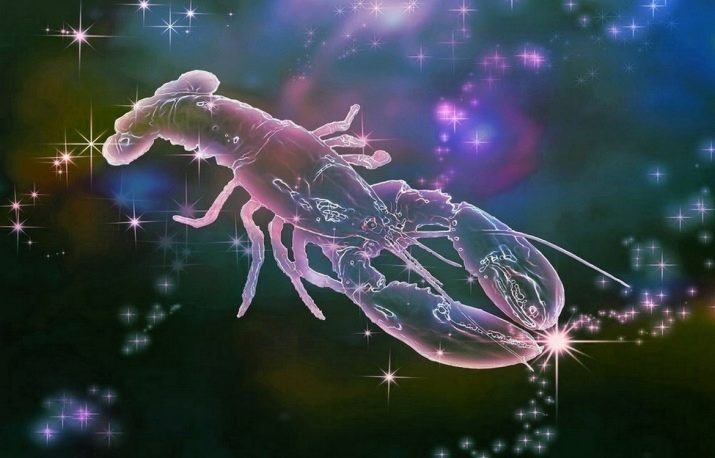 2013 – рік якої тварини і що вона означає?