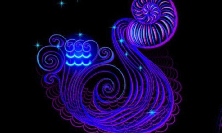 2014 – рік якої тварини і що в ній особливої?