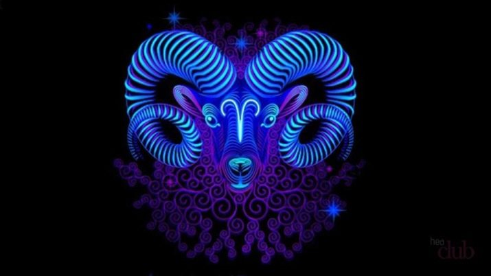 2014 – рік якої тварини і що в ній особливої?