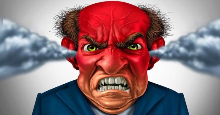 2014 – рік якої тварини і що в ній особливої?