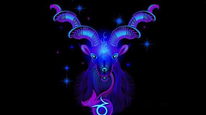 2014 – рік якої тварини і що в ній особливої?