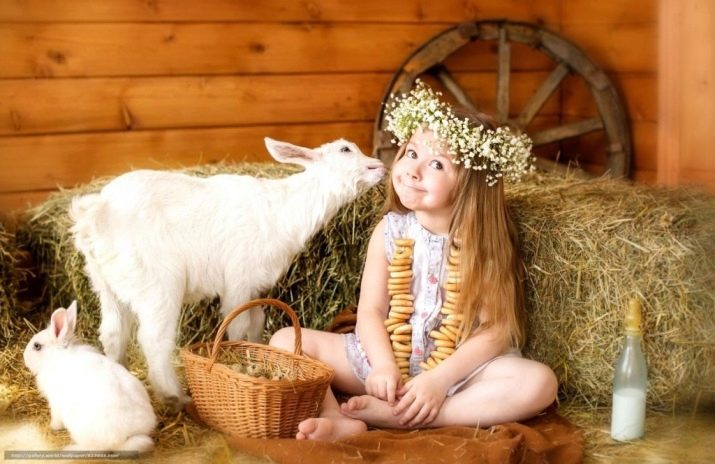 2015 – рік якої тварини і як вона характеризується?