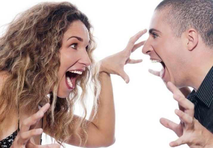 2017 – рік якої тварини і що для неї характерно?